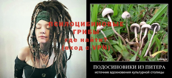 каннабис Армянск