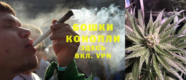 ПСИЛОЦИБИНОВЫЕ ГРИБЫ Балабаново