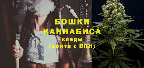 ПСИЛОЦИБИНОВЫЕ ГРИБЫ Балабаново