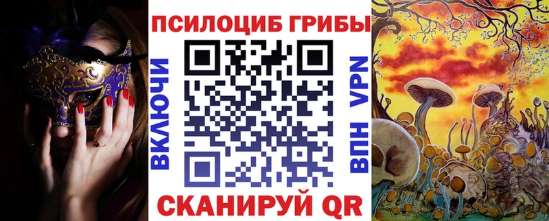 купить закладку  OMG вход  Галлюциногенные грибы мицелий  Вязники 